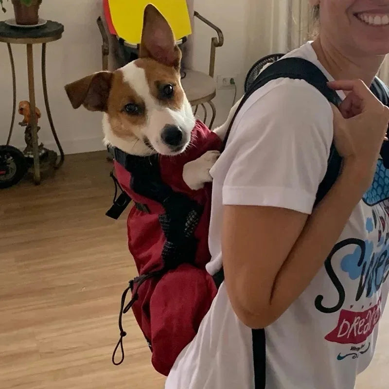 Sac À Dos Pour Chien