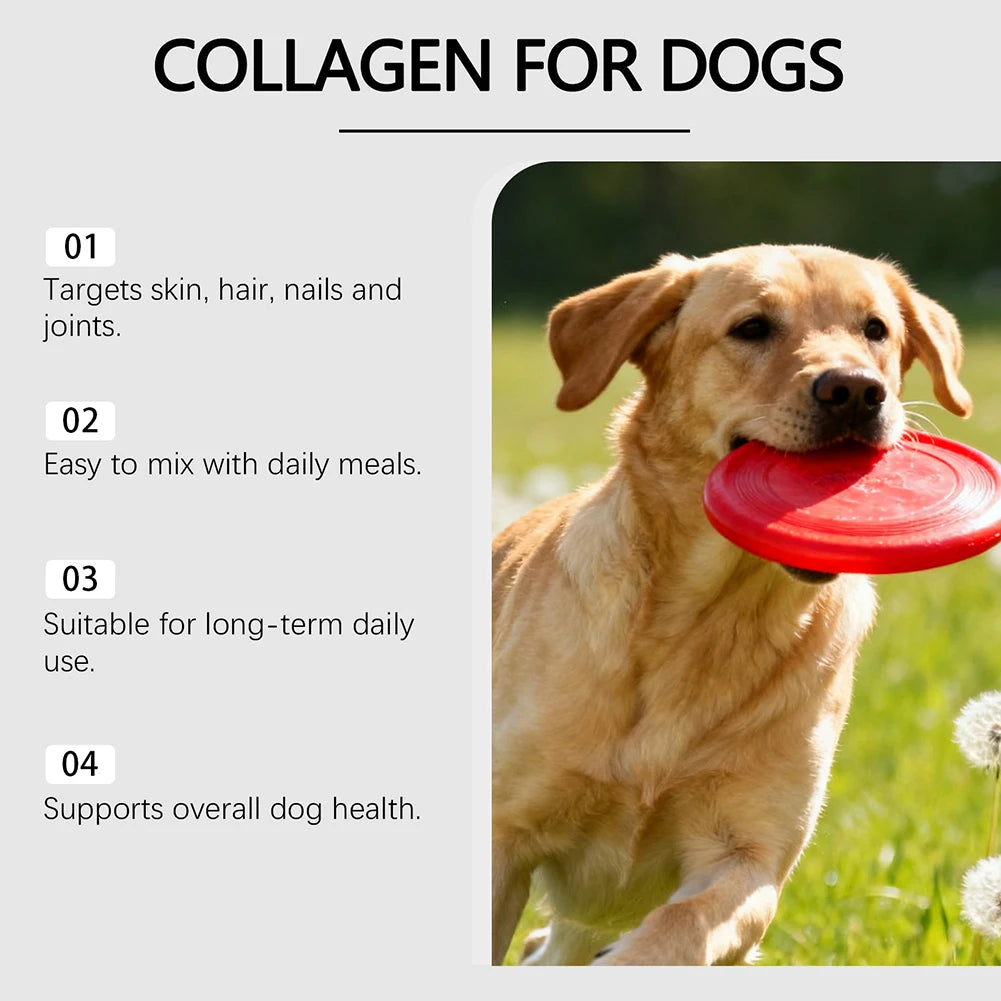 Collagène Liquide Pour Chien