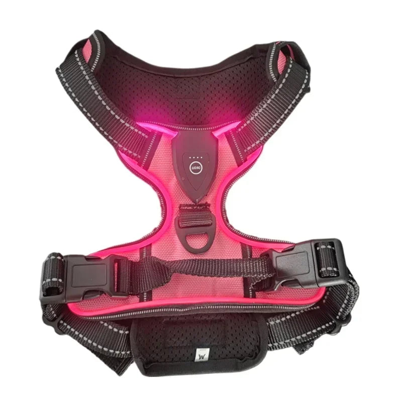 Harnais LED Lumineux