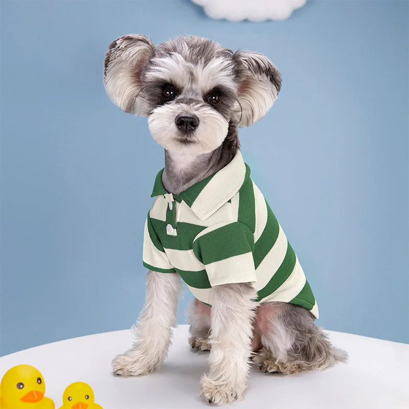 Polo Estival pour Animaux