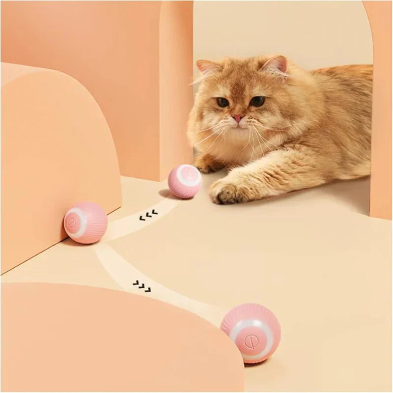 Balle Intelligente Pour Chat