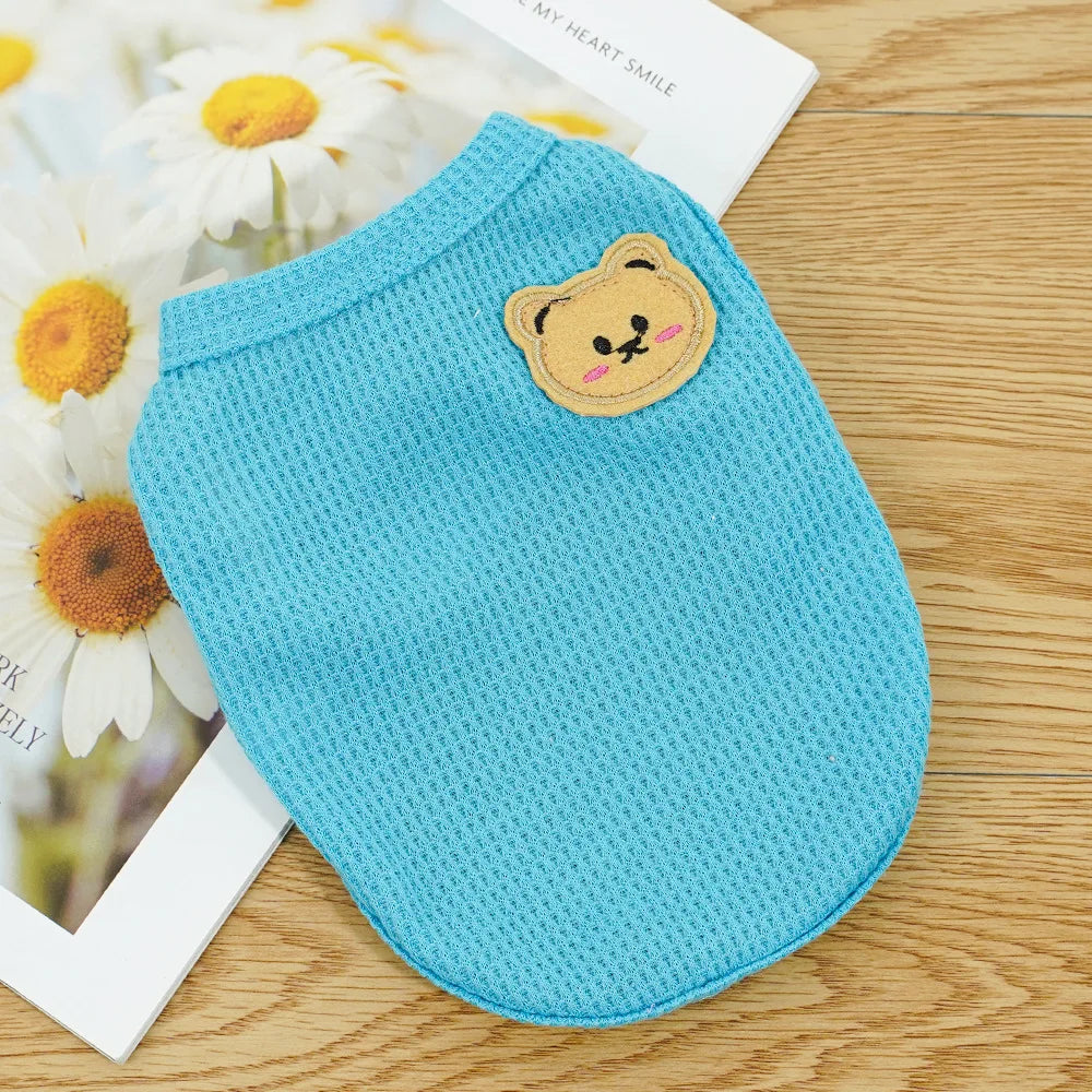 Gilet Ours Douillet Pour Chat