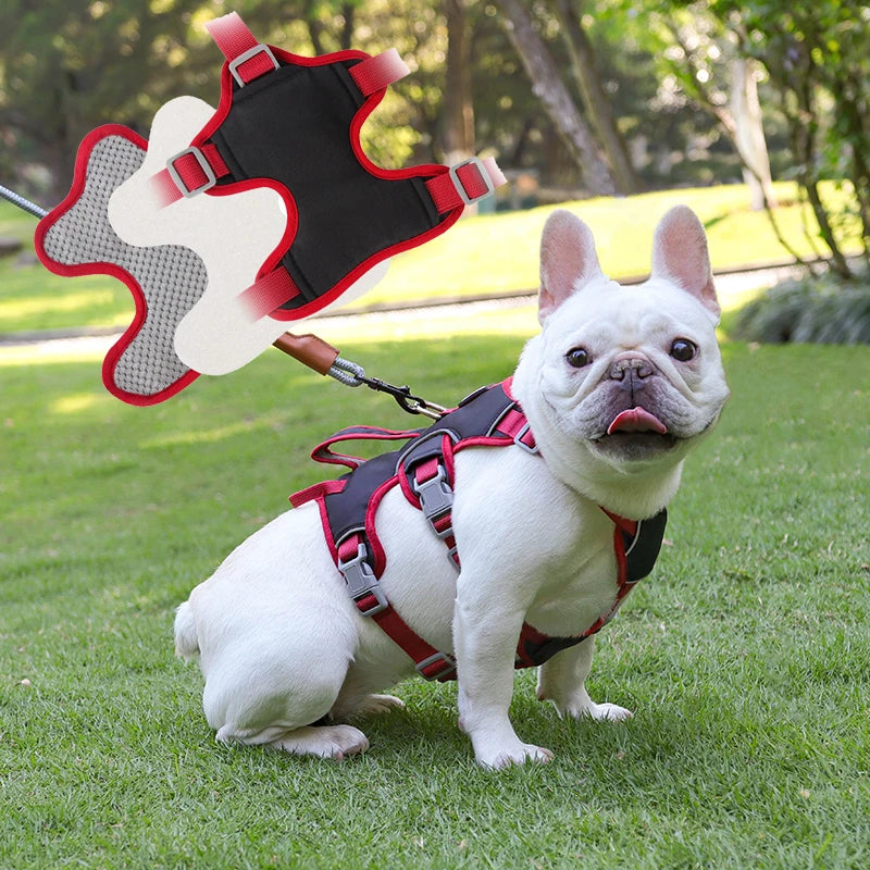 Harnais Bulldog Anti-Traction