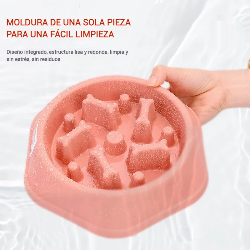 Gamelle Slow Feeder