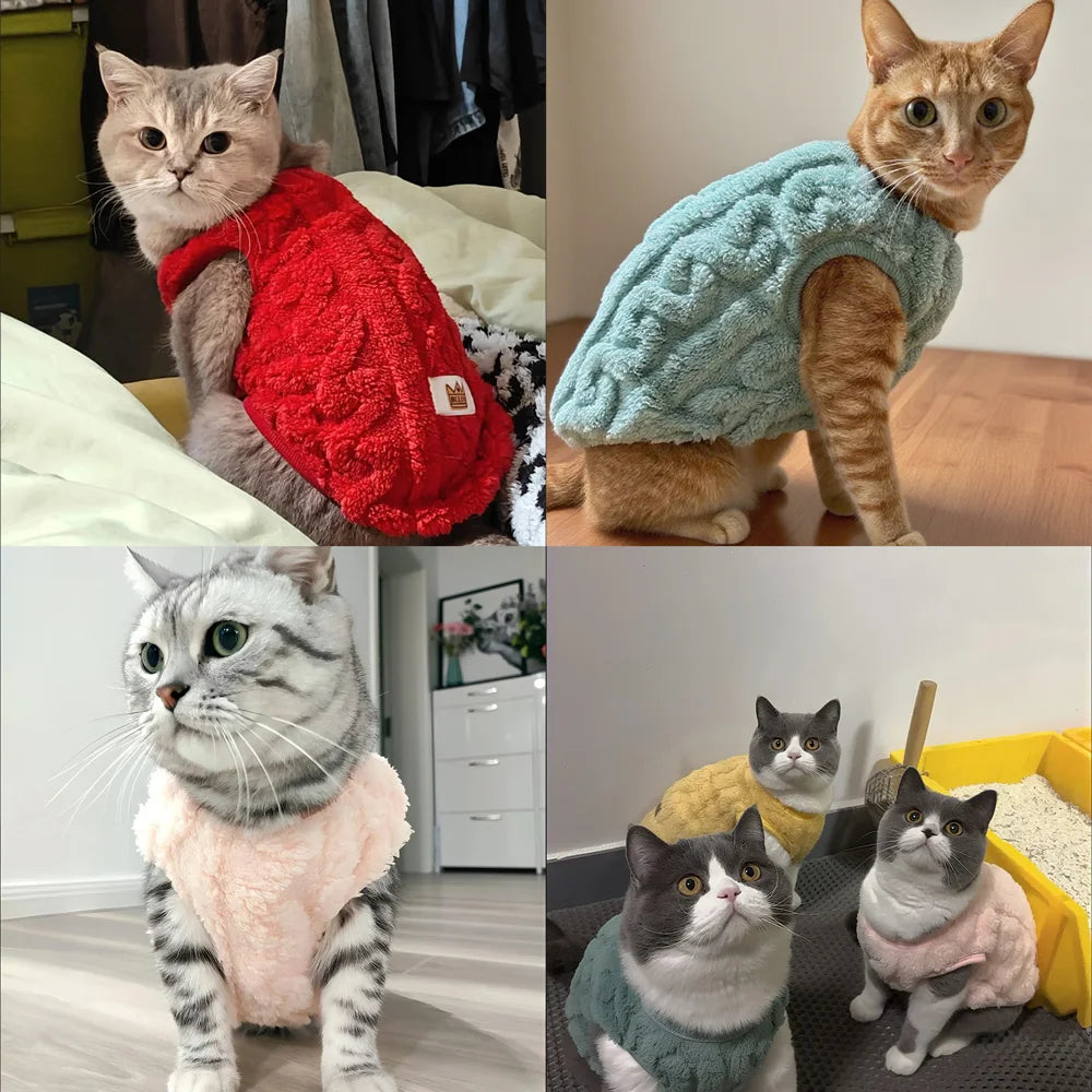 Pull Polaire Douillet Chat
