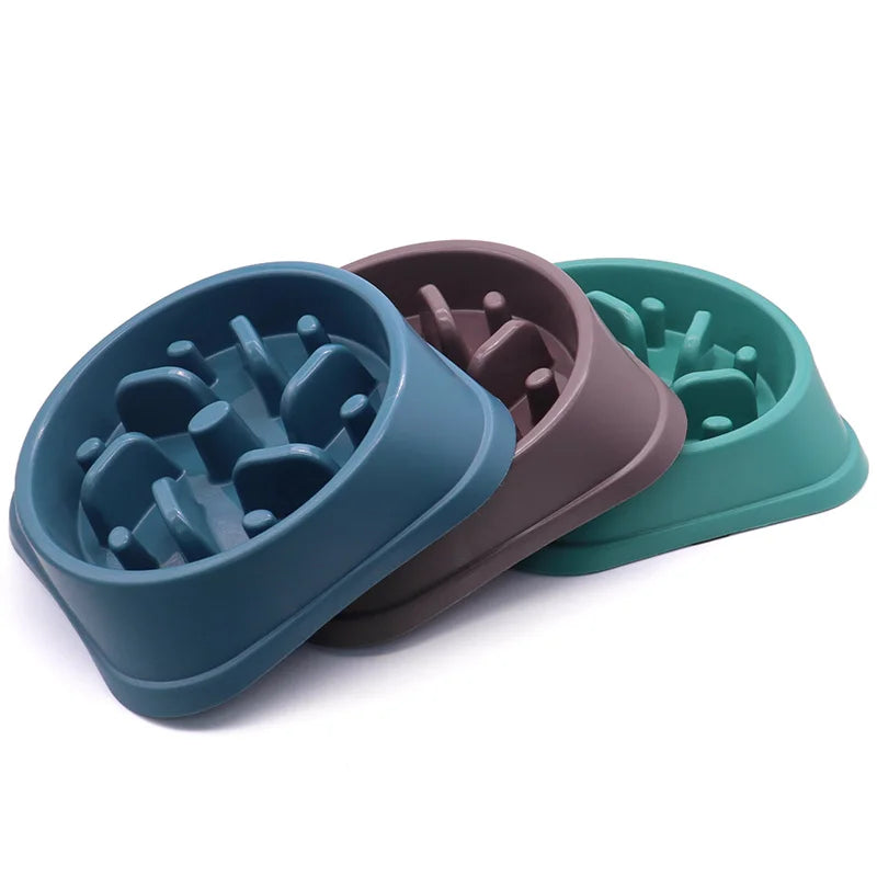 Gamelle Anti-Glouton Puzzle