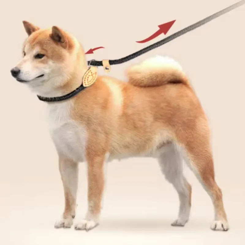 Laisse Corde Réglable Pour Chien