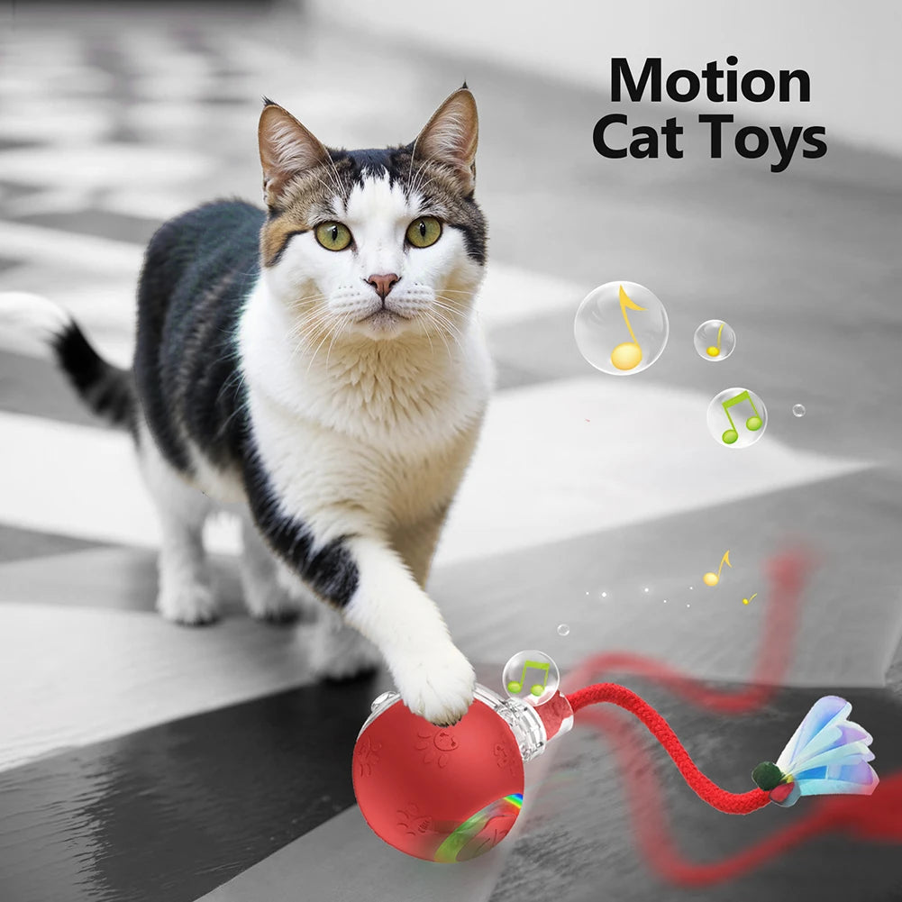 Balle Interactive Pour Chat