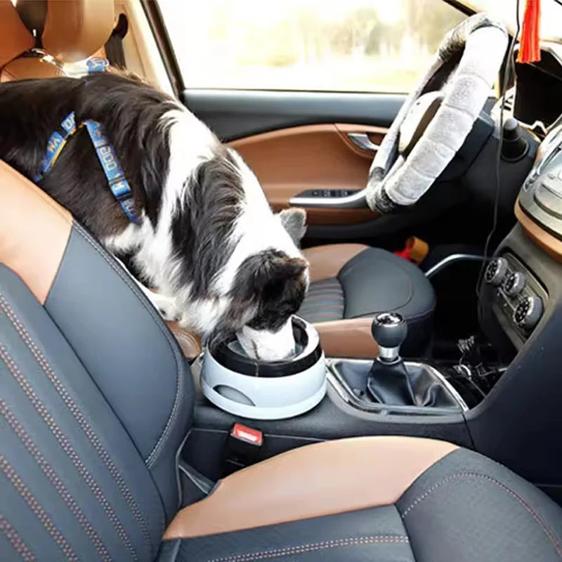 Gamelle Flottante Pour Voiture