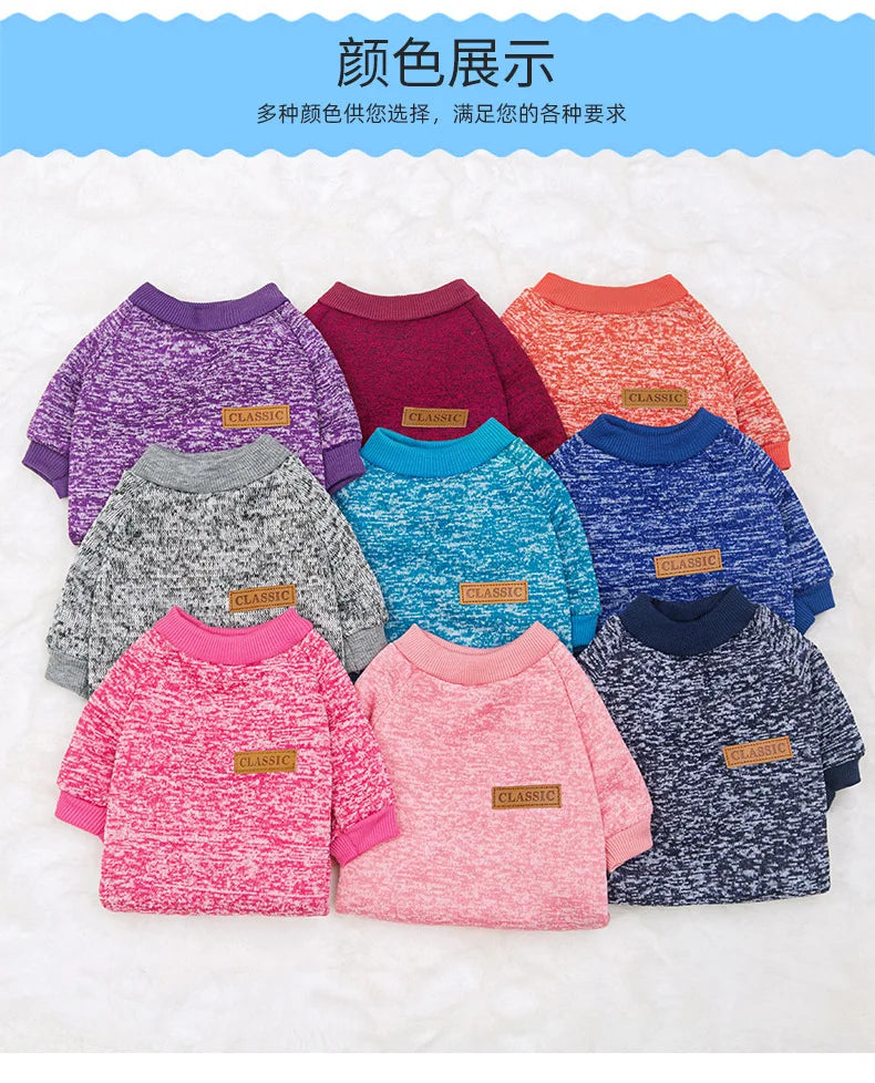 Pull Chaud Pour Chien