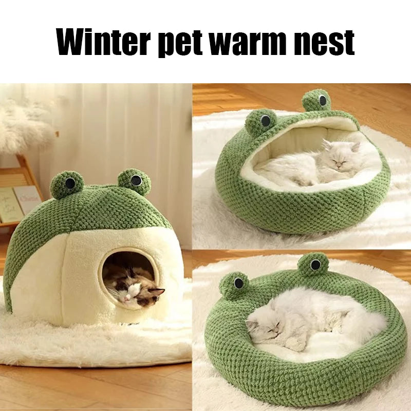 Nid Douillet Grenouille