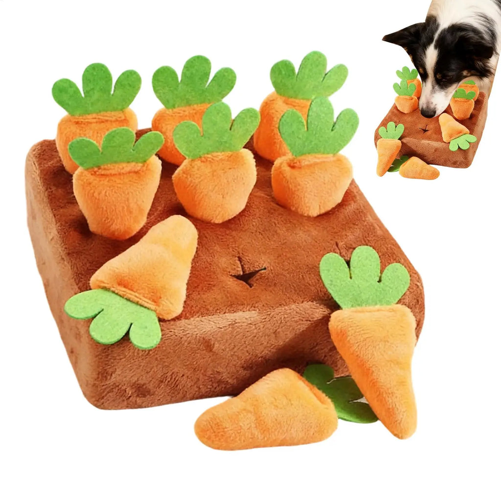 Tapis de Fouille Carottes