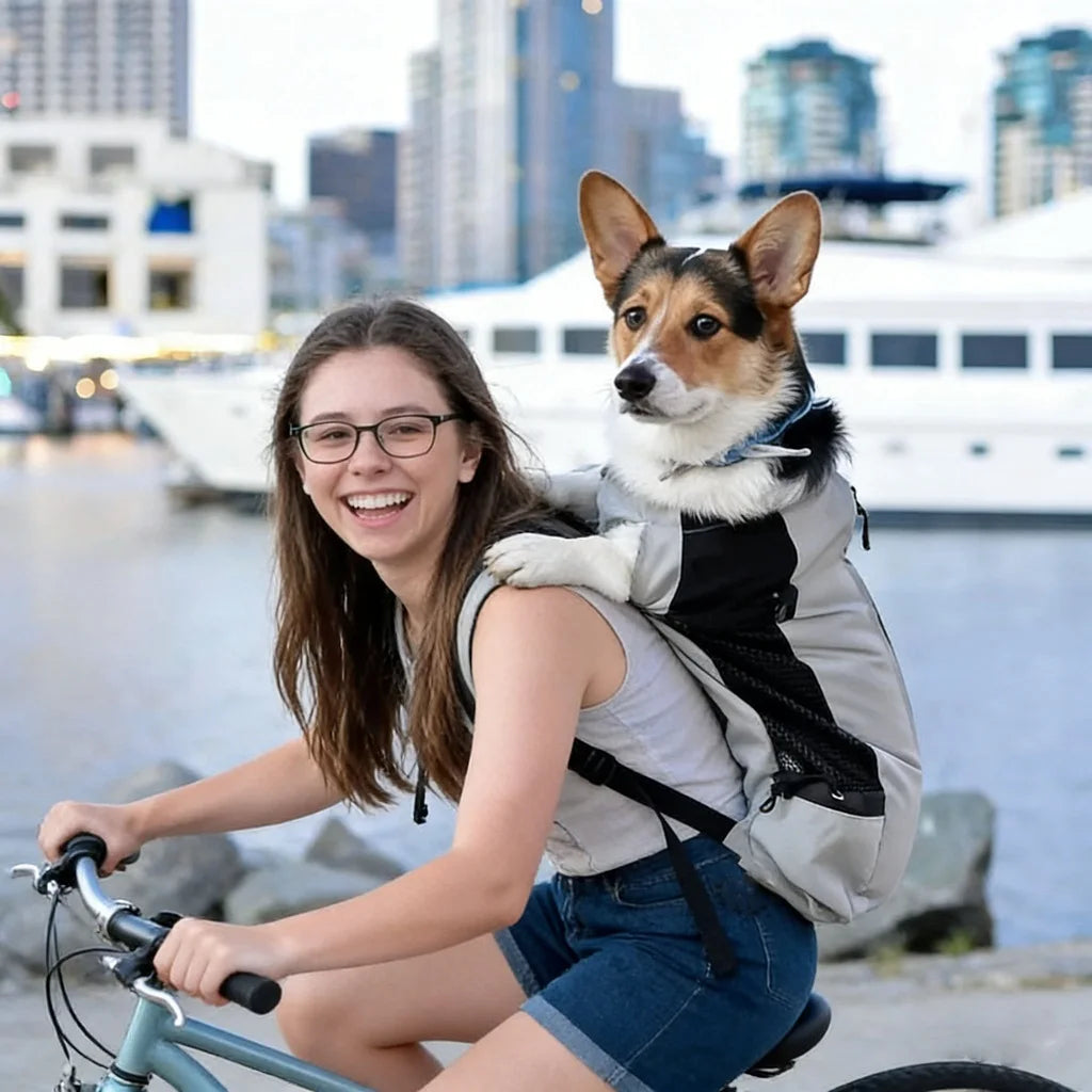 Sac À Dos Pour Chien