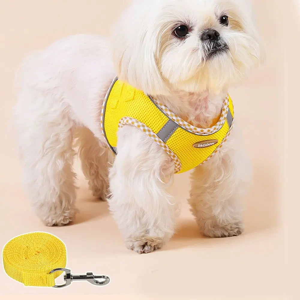 Balle Interactive pour Chien