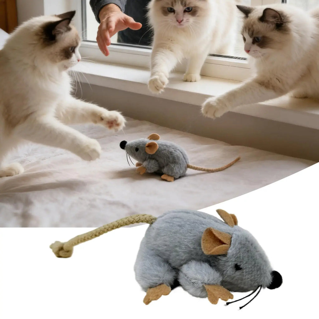 Souris Peluche Interactive