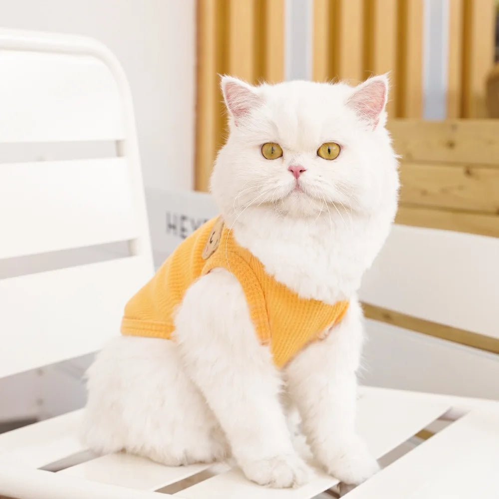 Gilet Ours Douillet Pour Chat