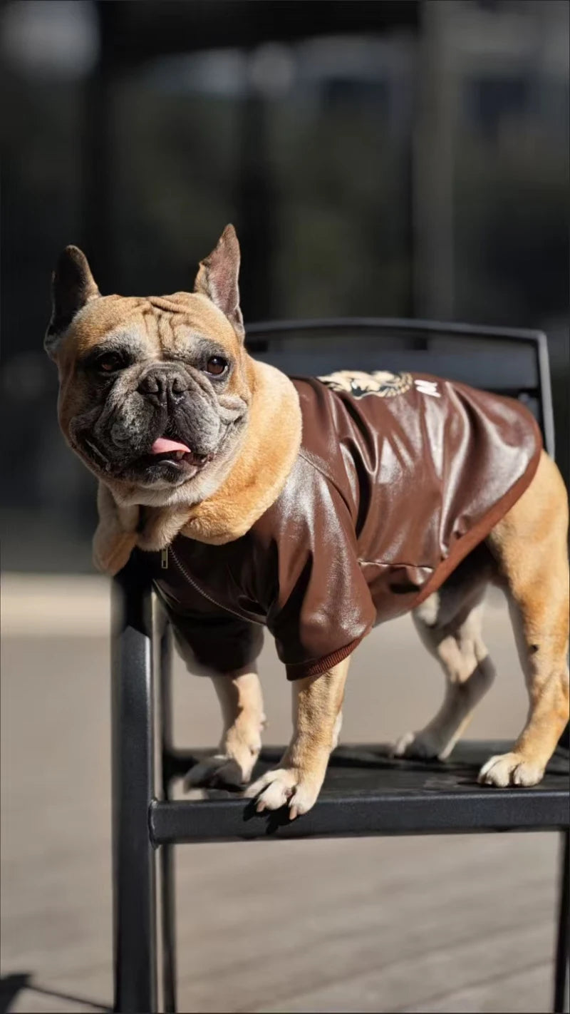 Manteau Hiver Pour Chien