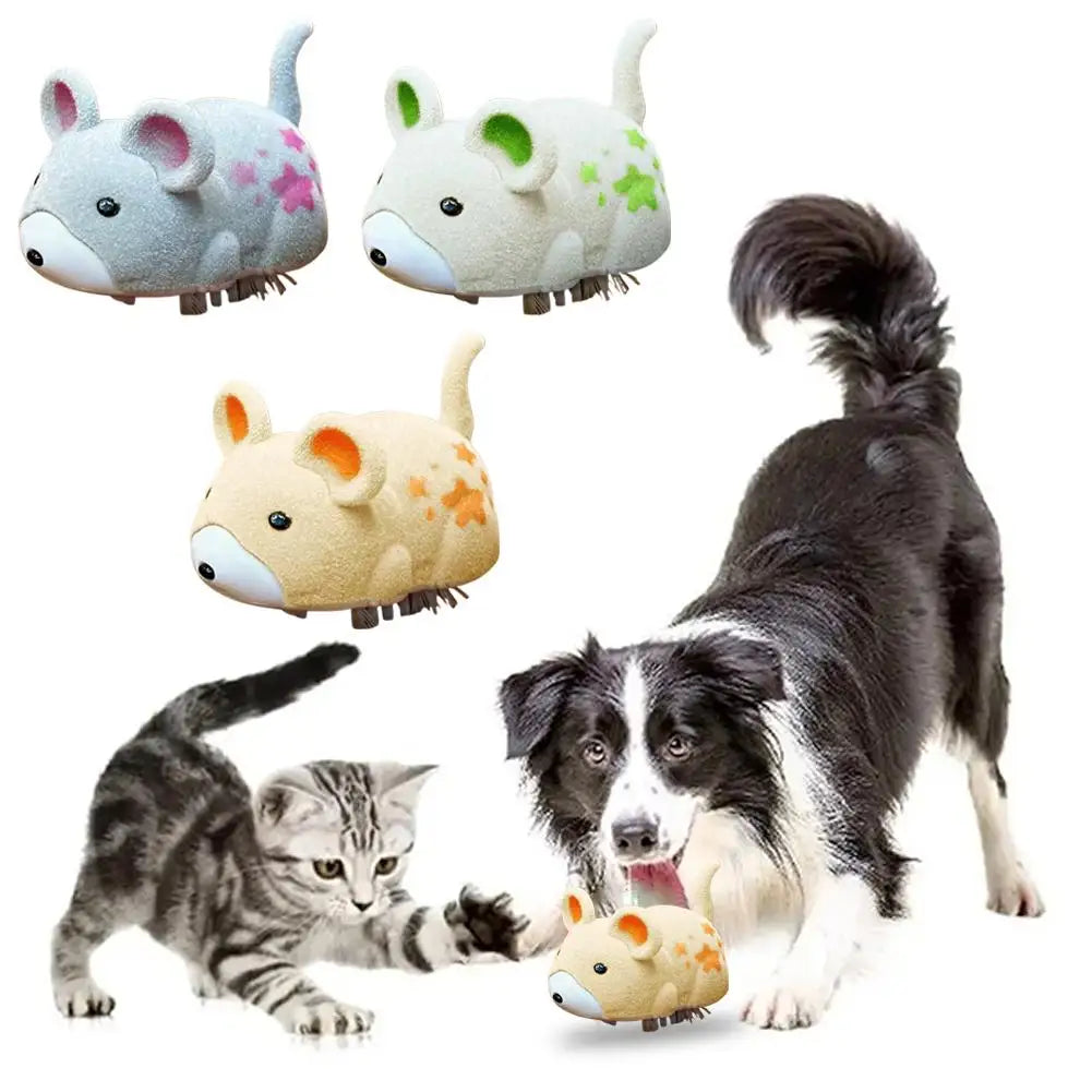 Souris Électrique Interactive
