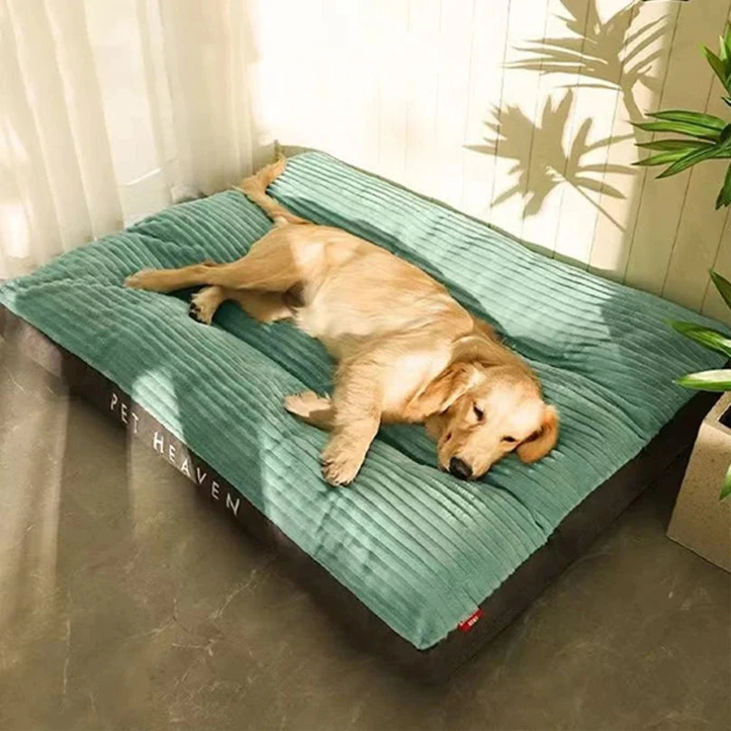 Panier Douillet Pour Chien