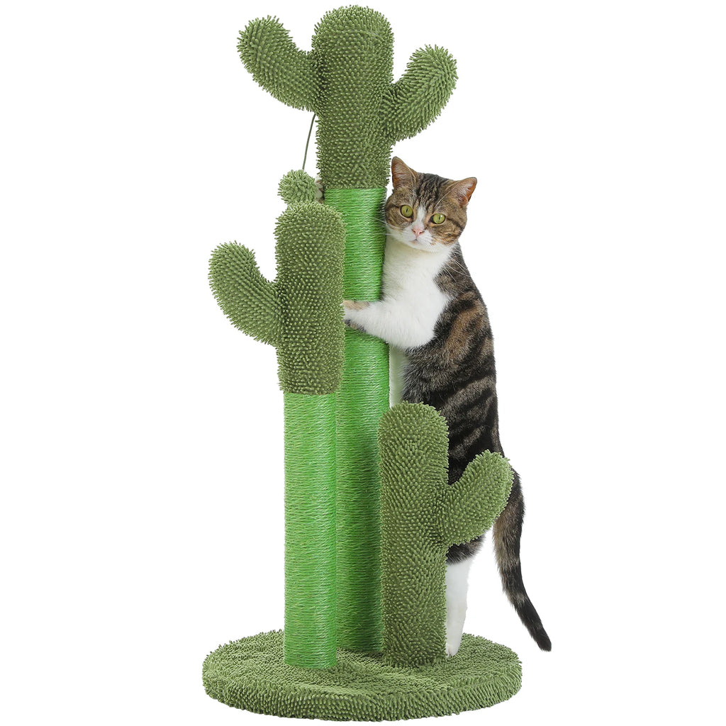 Griffoir Cactus Pour Chat