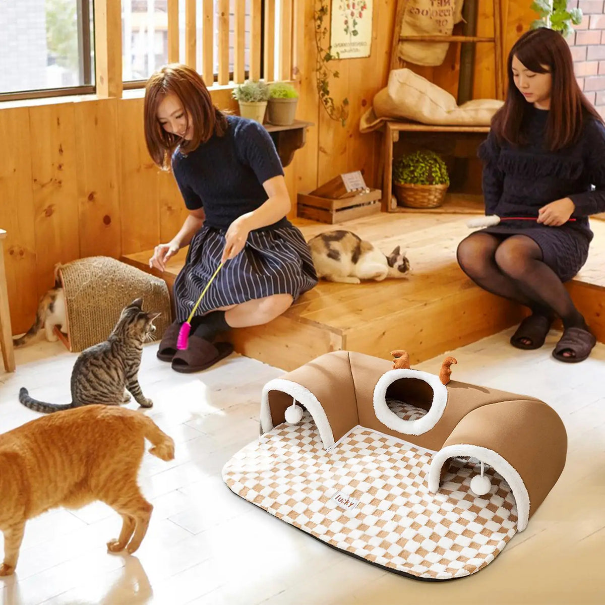 Tente Douillette pour Chat