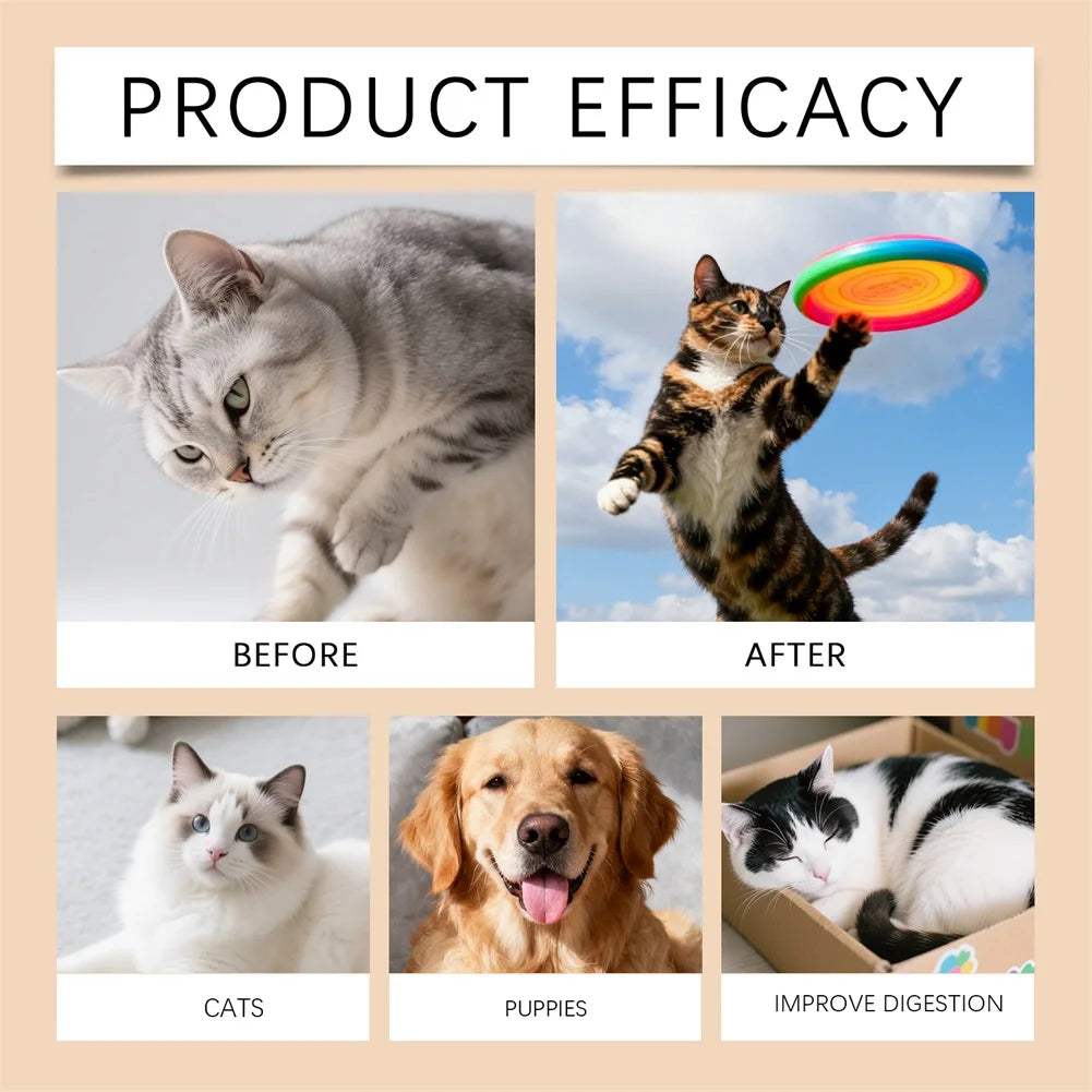 Vitamines B Pour Animaux
