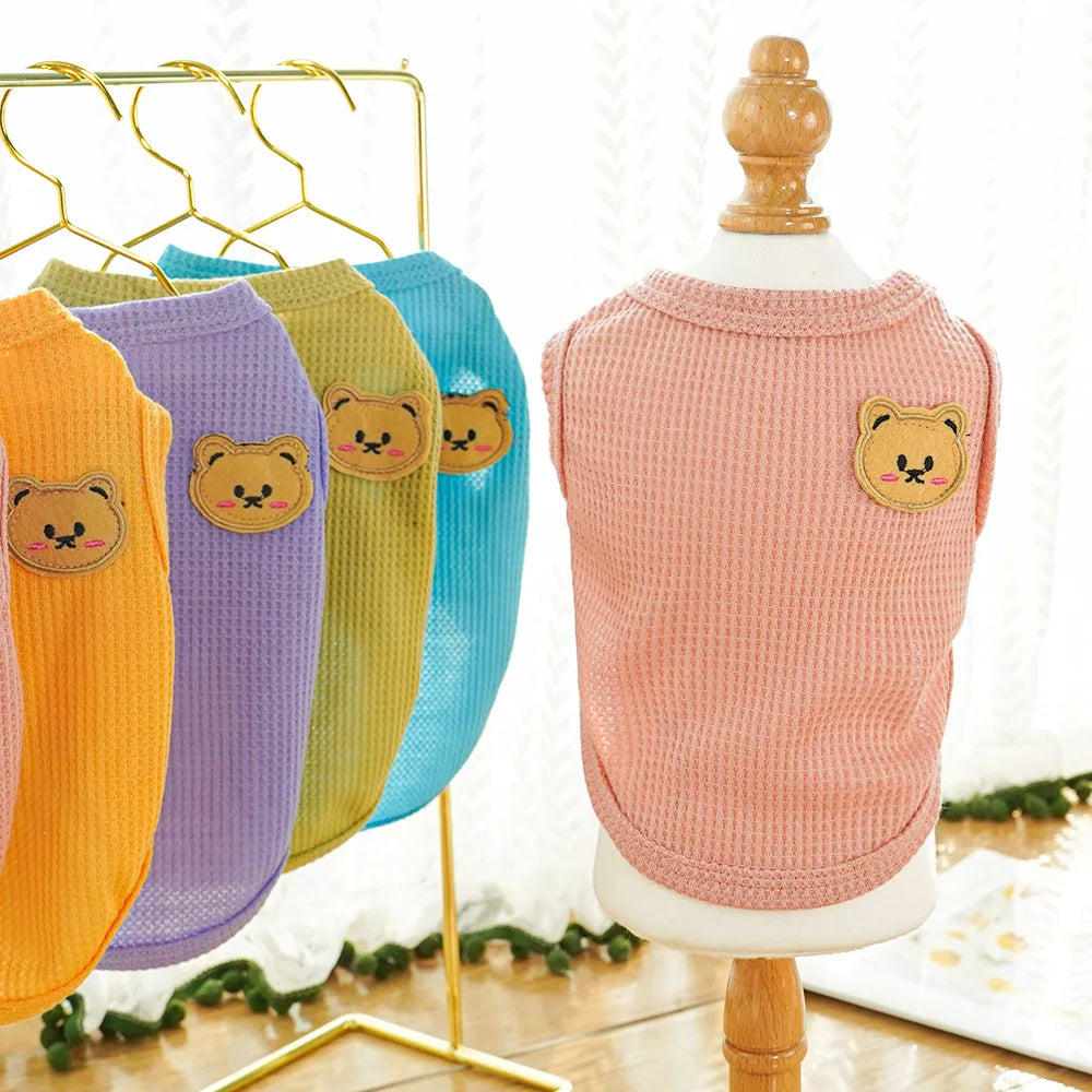 Gilet Ours Douillet Pour Chat