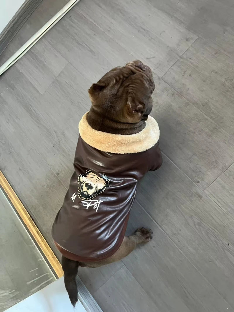 Manteau Hiver Pour Chien