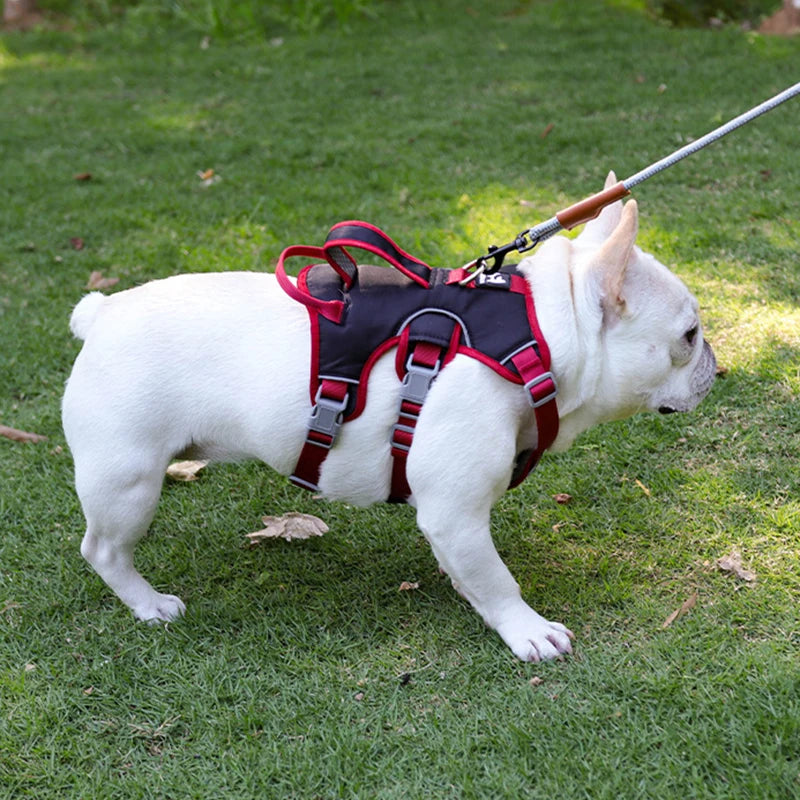 Harnais Bulldog Anti-Traction