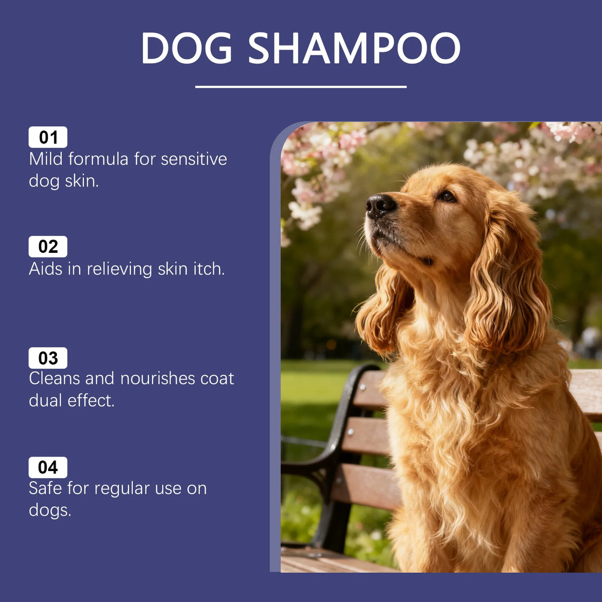 Shampooing Naturel Pour Chien