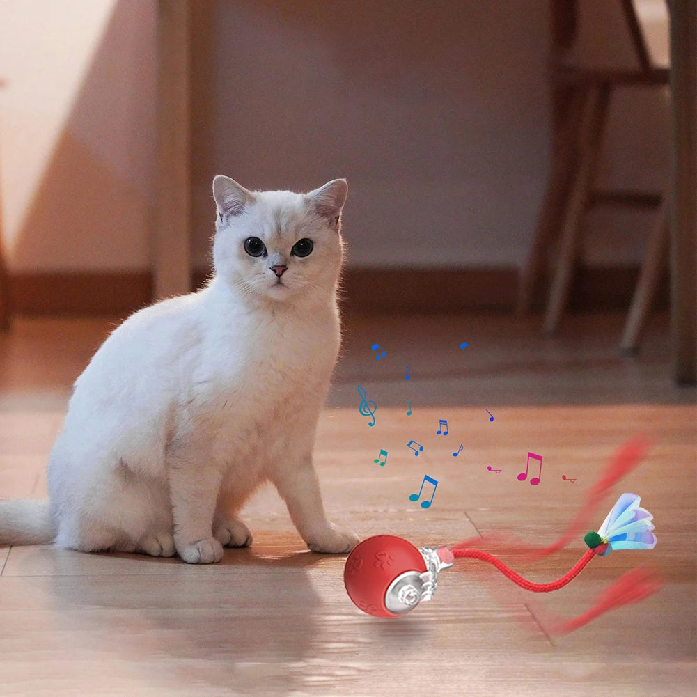 Balle Interactive Pour Chat