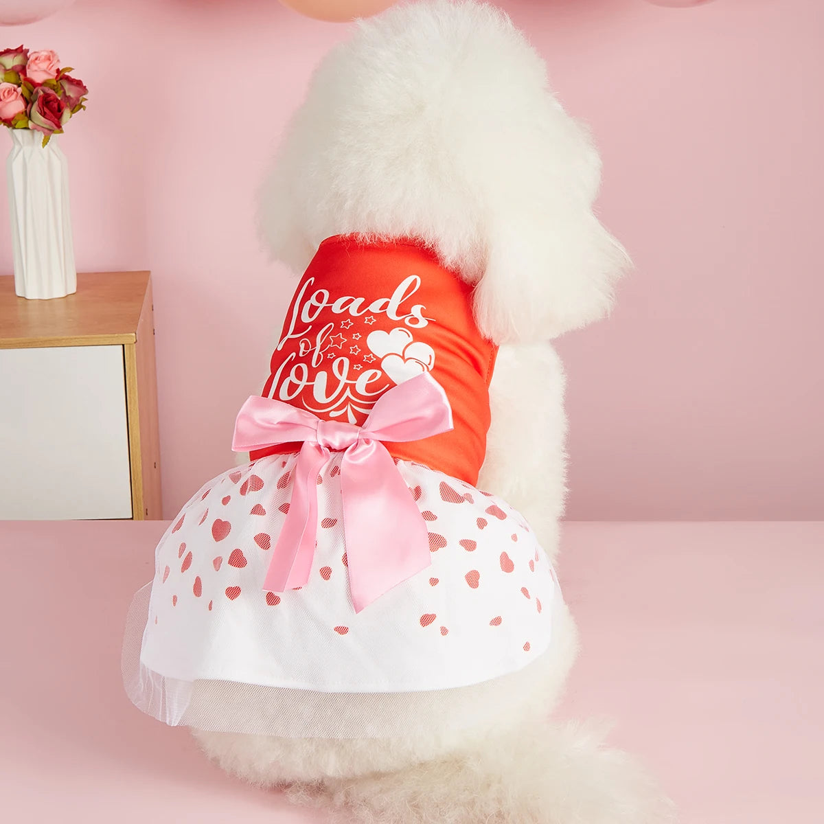 Robe Cœur Pour Animaux