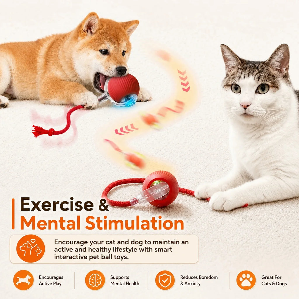 Jolie Balle Intelligente Pour Chat