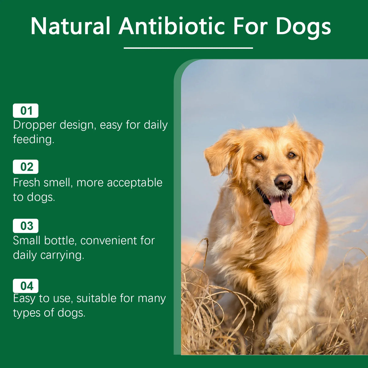 Vitamines Bien-Être Pour Chien