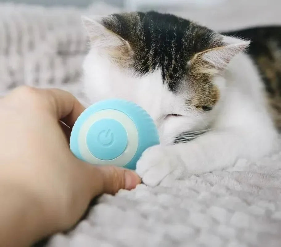 Balle Intelligente Pour Chat
