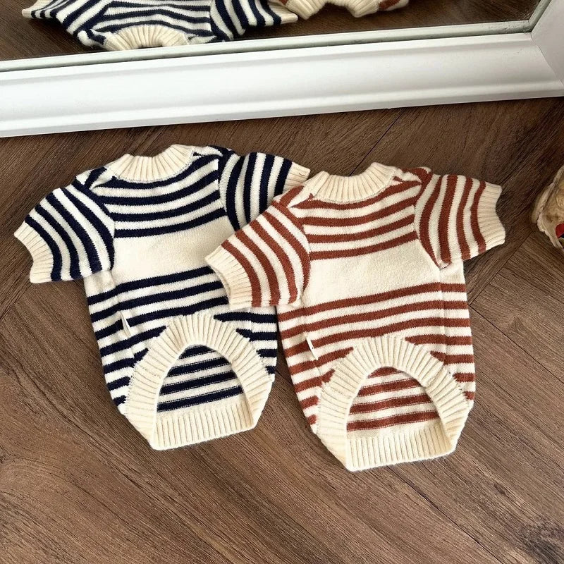 Pull Ours Douillet Pour Chien