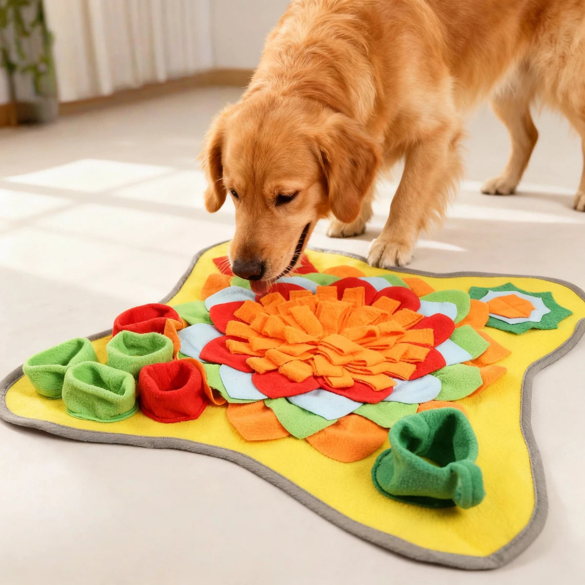 Tapis De Fouille Interactif