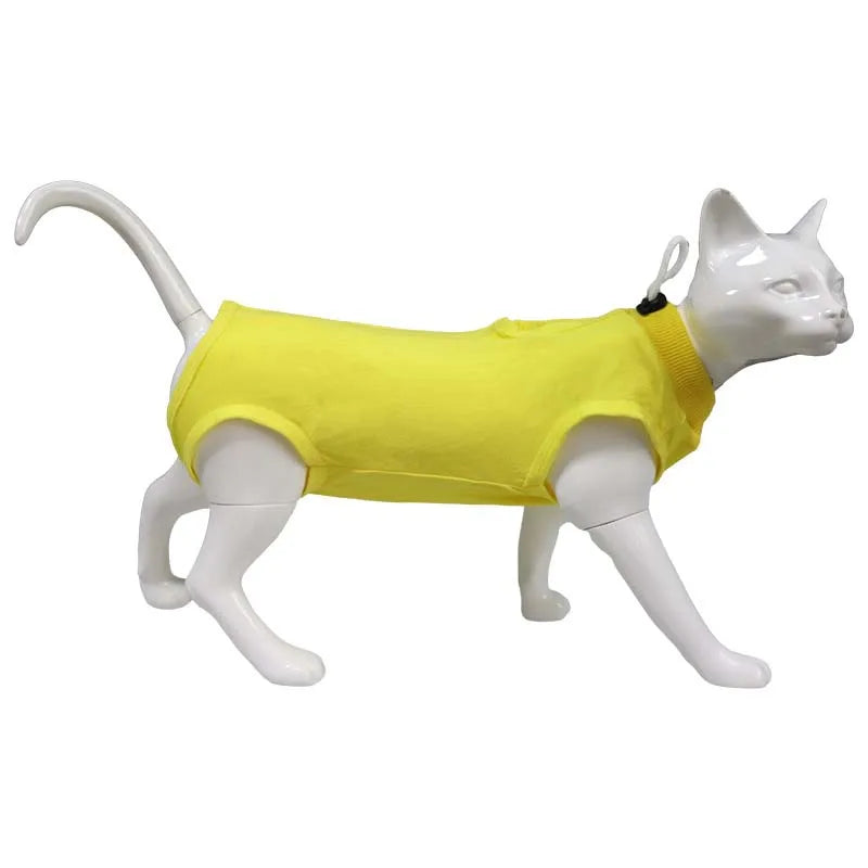 Combinaison Récupération Chat