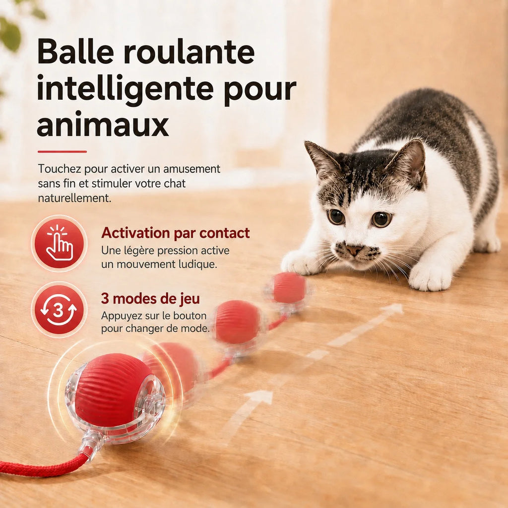 Jolie Balle Intelligente Pour Chat