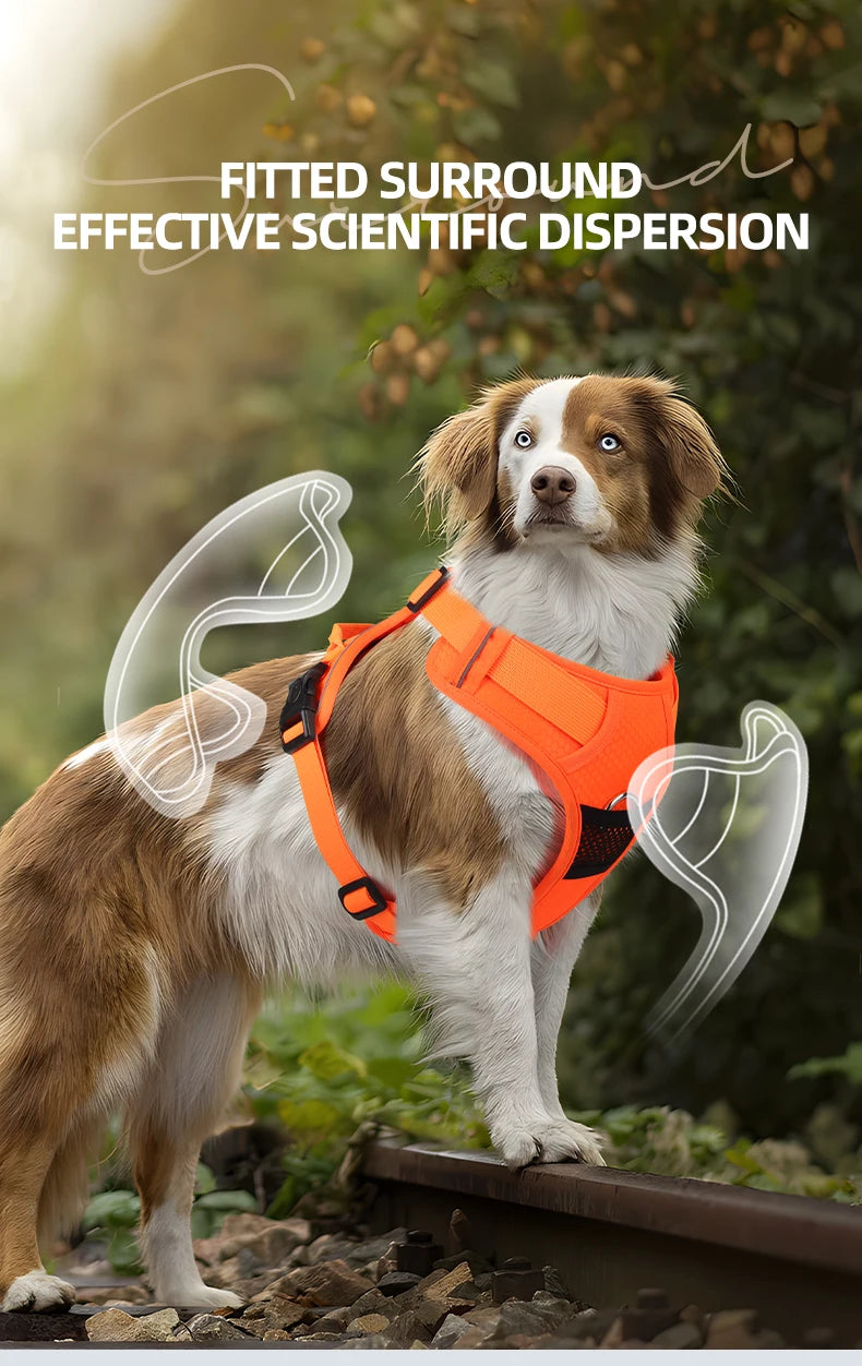 Harnais Chien Anti-Traction