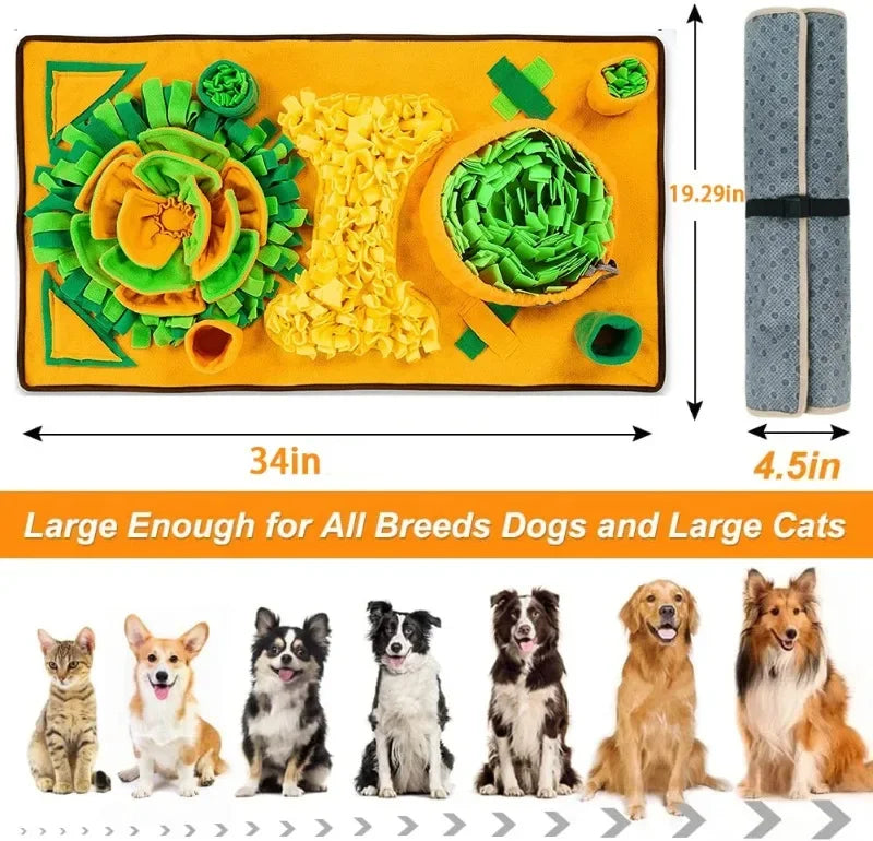 Grand Tapis de Fouille