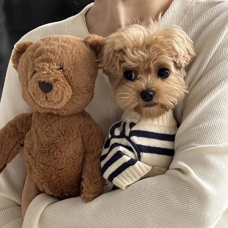 Pull Ours Douillet Pour Chien