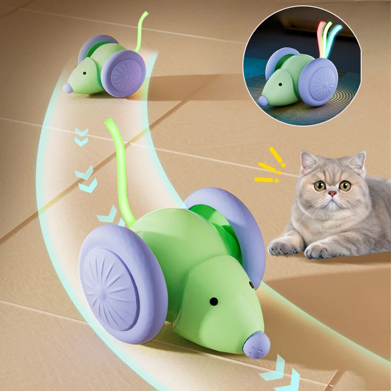 Voiture Souris Interactive