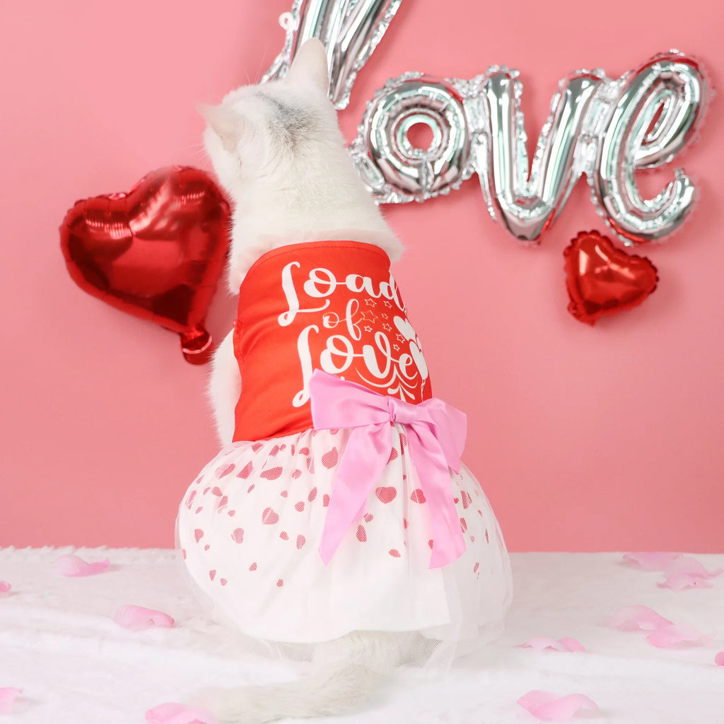 Robe Cœur Pour Animaux