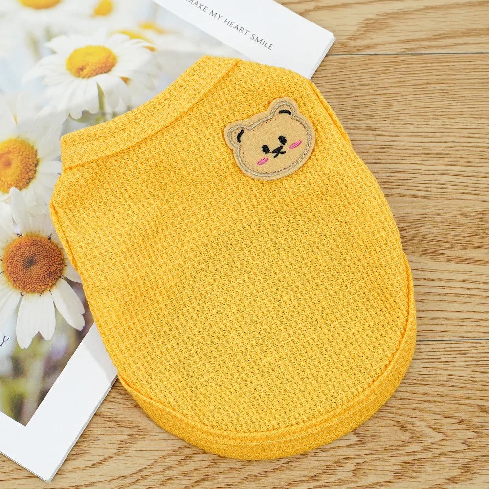 Gilet Ours Douillet Pour Chat