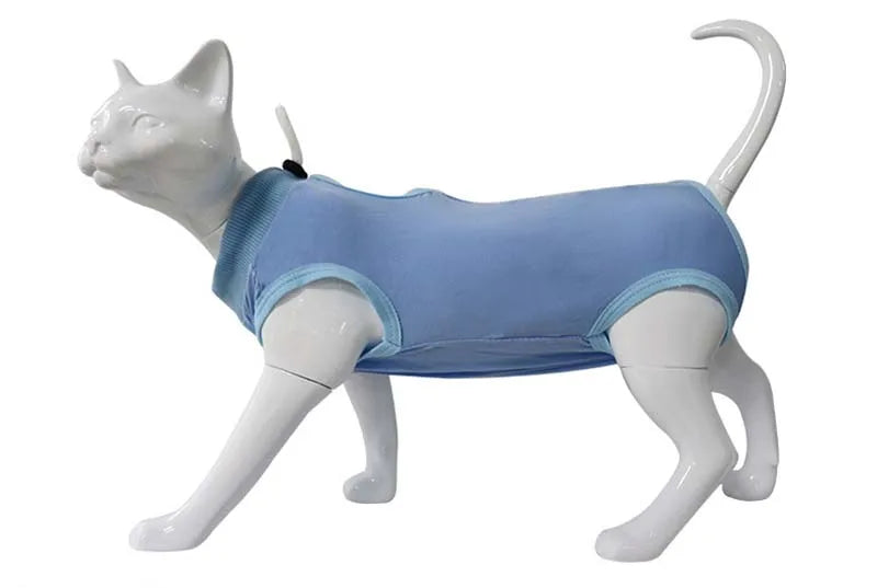 Combinaison Récupération Chat