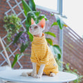 Combinaison Hiver Chat