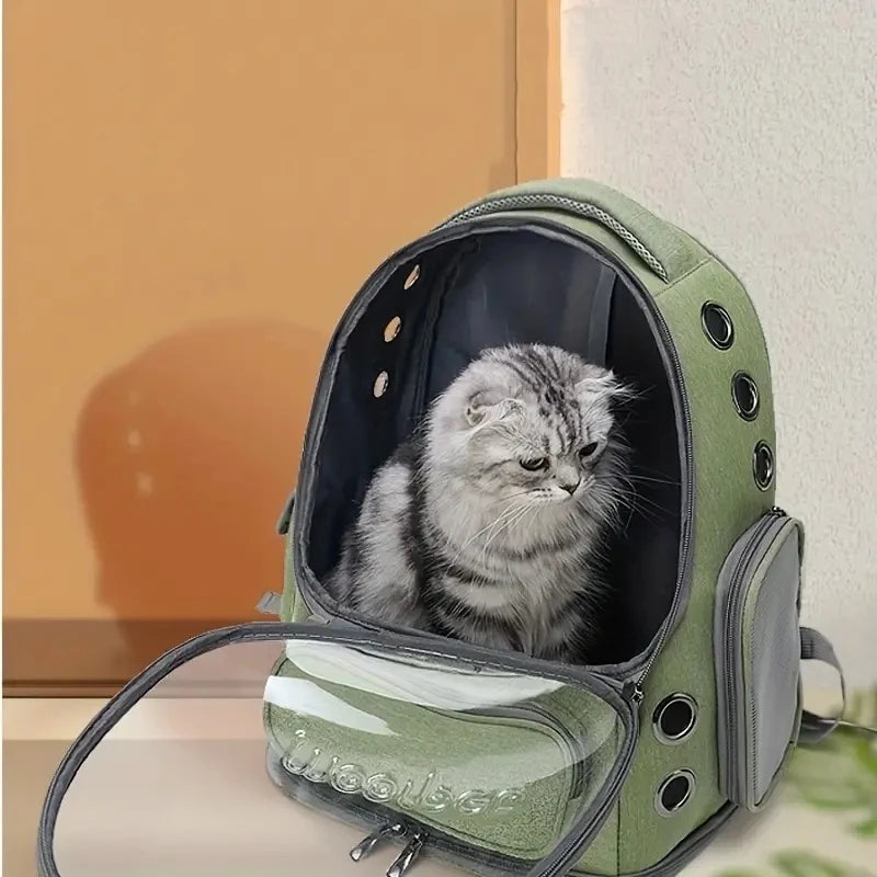 Sac Bubble Transport Chat