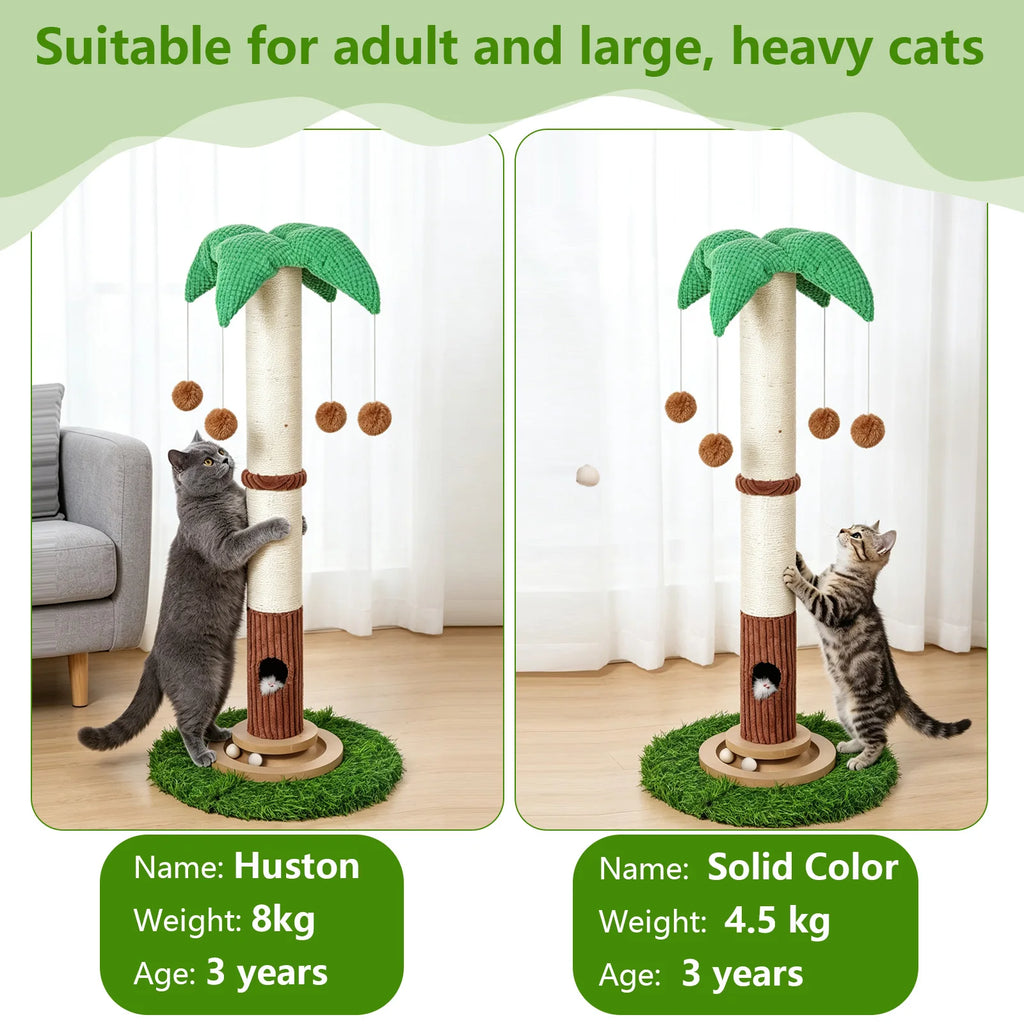 Arbre À Chat Griffoir