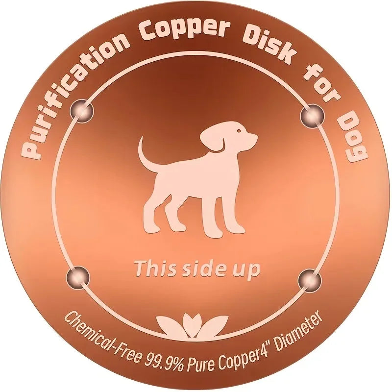 Purificateur Eau Cuivre  pour chien